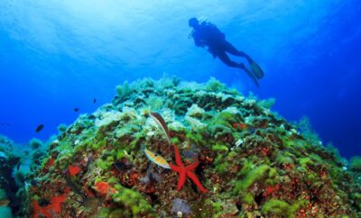 Top 10 de los mejores spots para bucear en Ibiza y Formentera