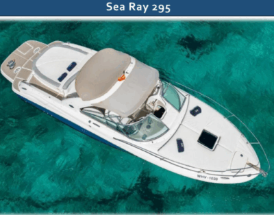 Sea Ray 295